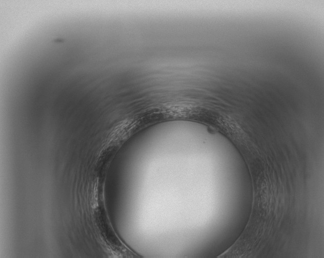 X0000059830694200510281758