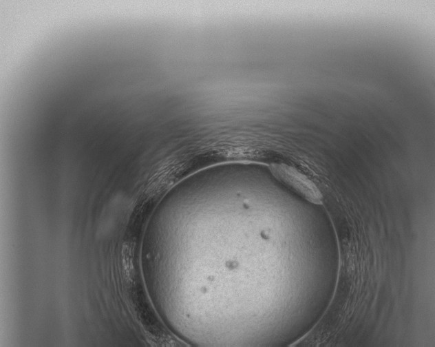 X0000059830695200510281758