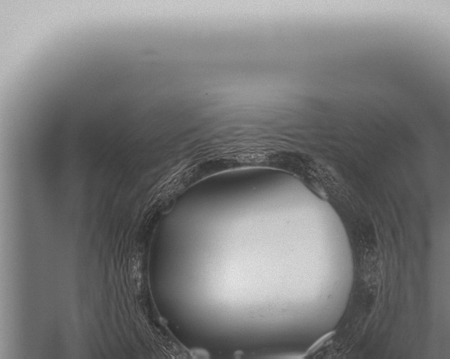 X0000059830697200510281758