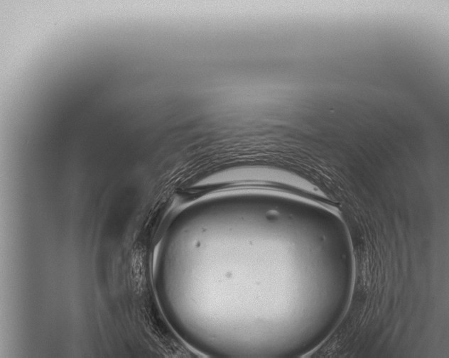 X0000059830699200510281758