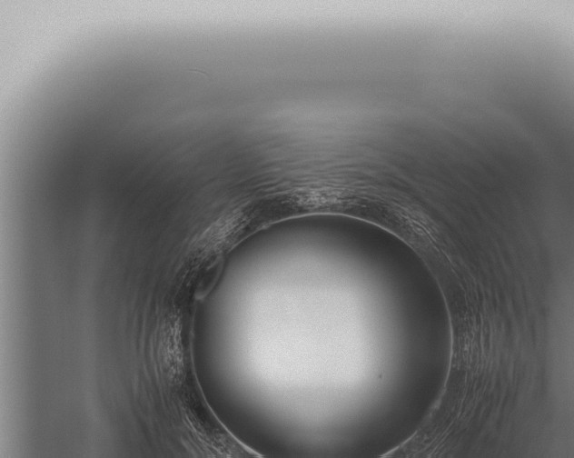 X0000059830700200510281758