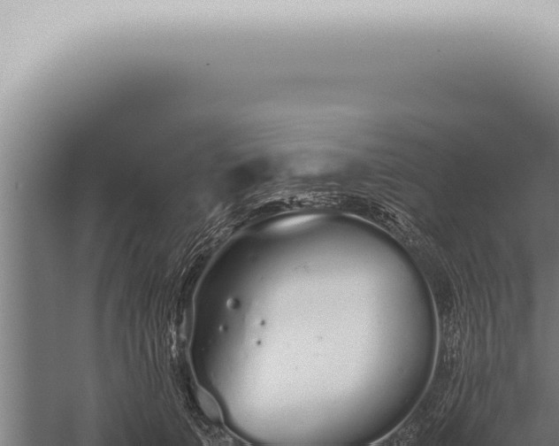 X0000059830703200510281758