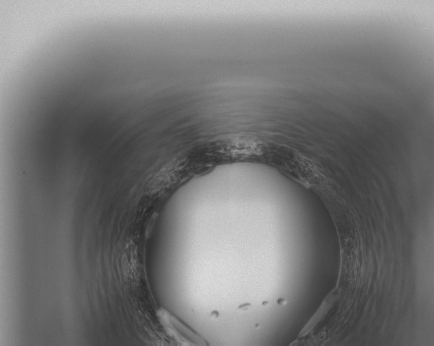 X0000059830704200510281758