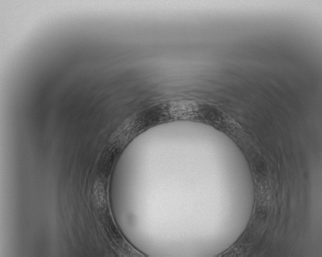 X0000059830705200510281758