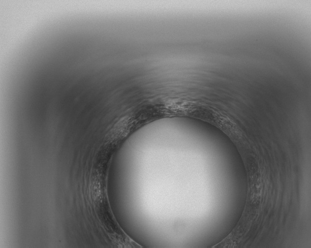 X0000059830706200510281758