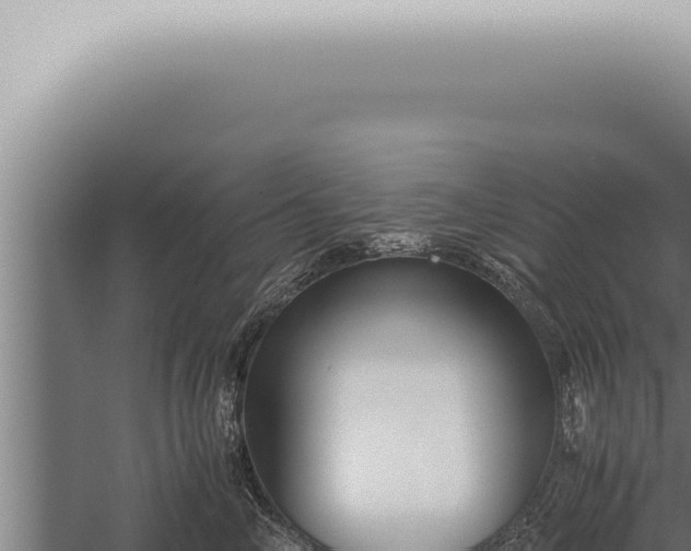 X0000059830714200510281758