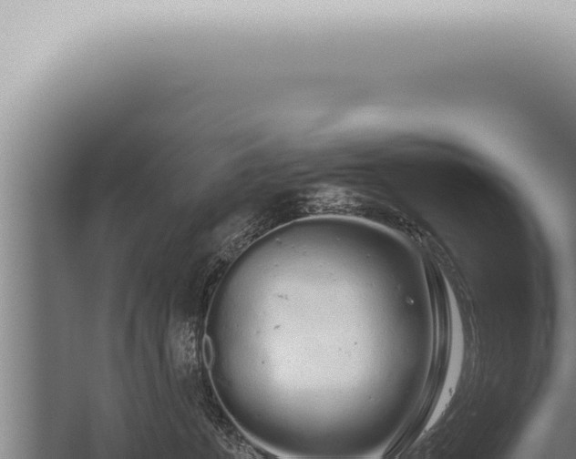 X0000059830715200510281758