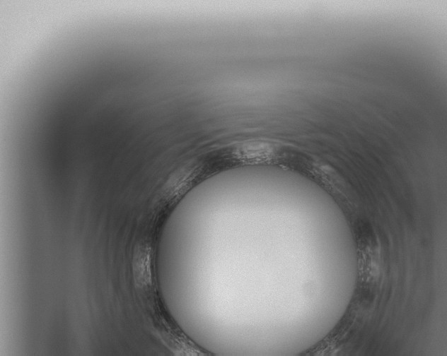 X0000059830717200510281758