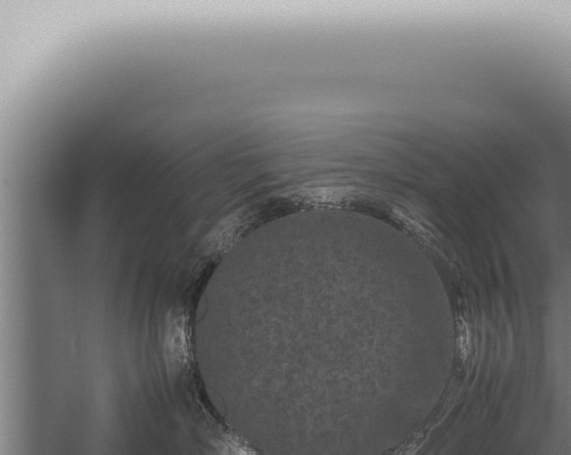 X0000059830718200510281758