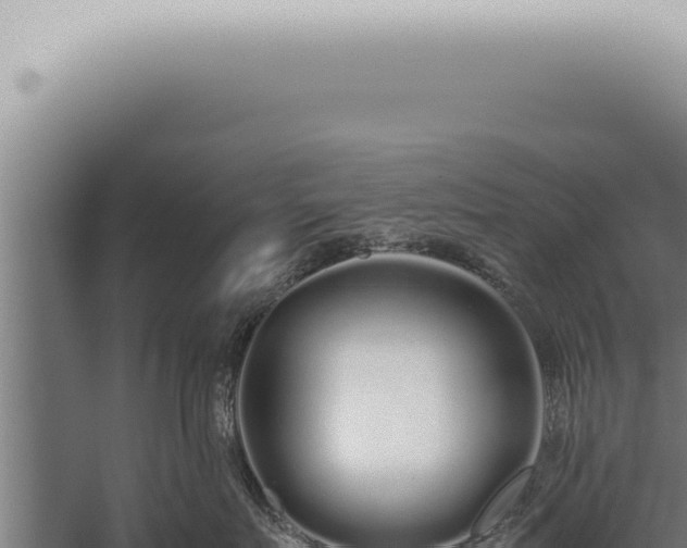 X0000059830719200510281757