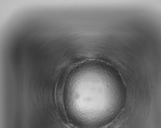 X0000059830720200510281757