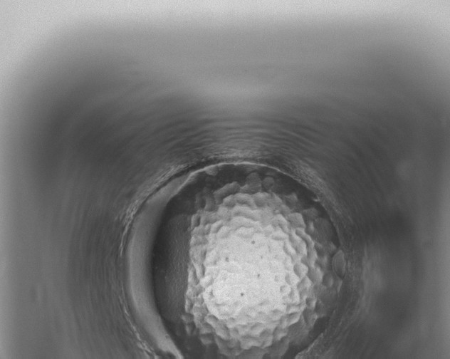 X0000059830721200510281757