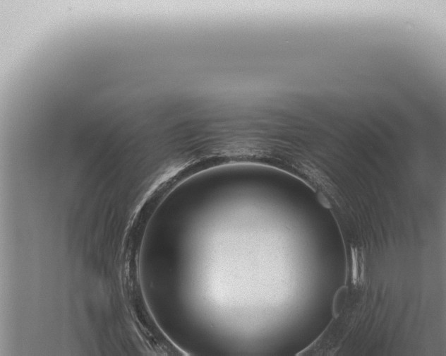 X0000059830723200510281757