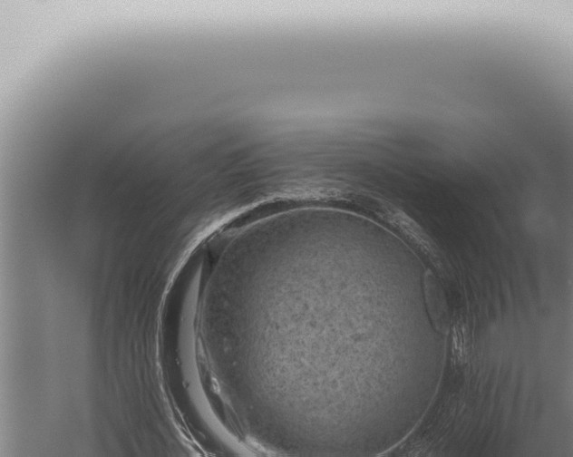 X0000059830724200510281757