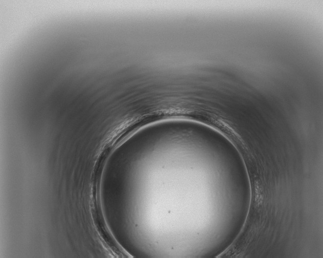 X0000059830725200510281757