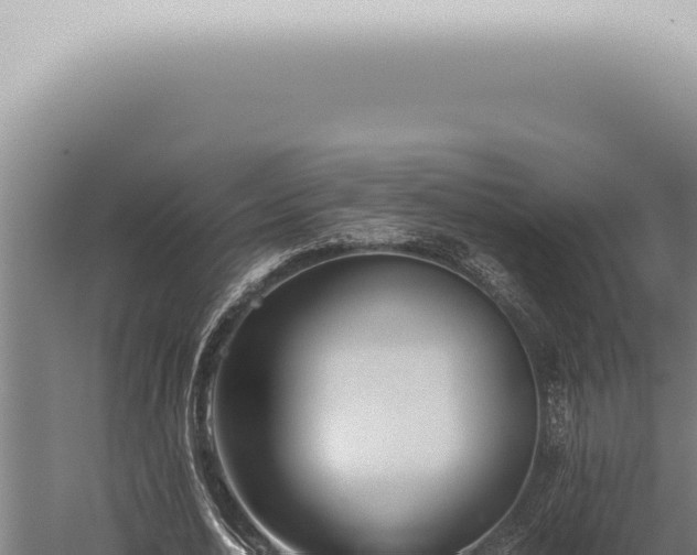 X0000059830726200510281757