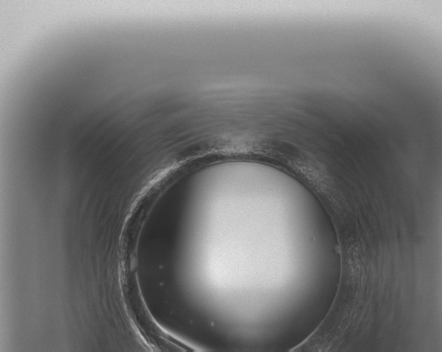 X0000059830728200510281757