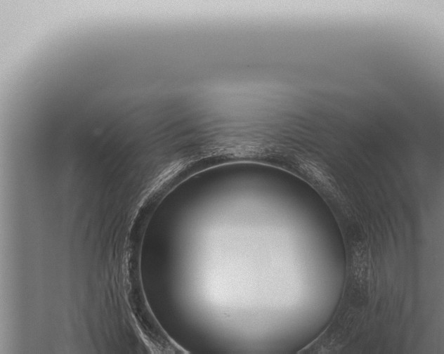 X0000059830730200510281757