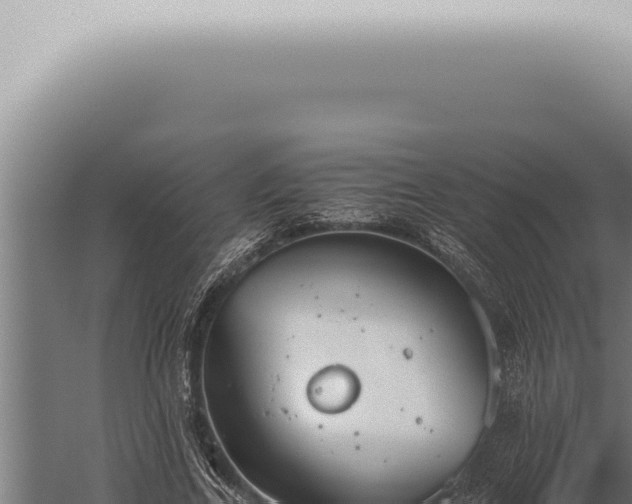 X0000059830731200510281757