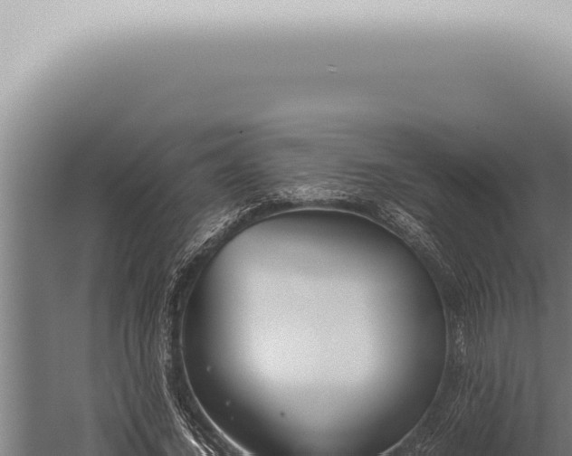 X0000059830732200510281757