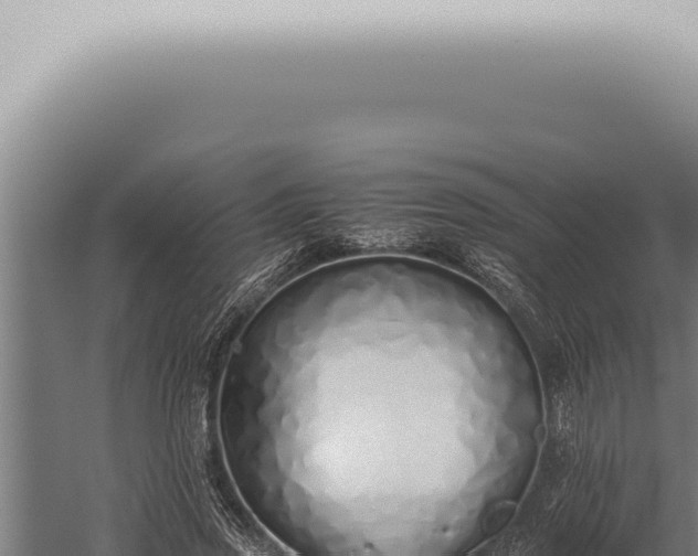 X0000059830733200510281757