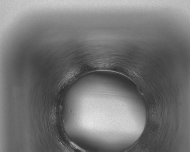 X0000059830735200510281757