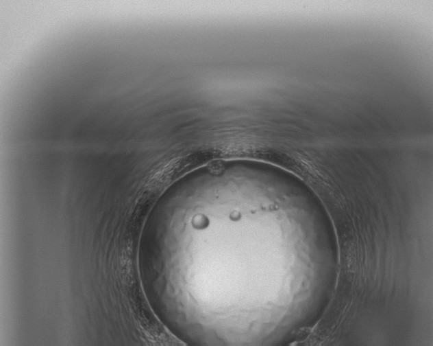 X0000059830737200510281757