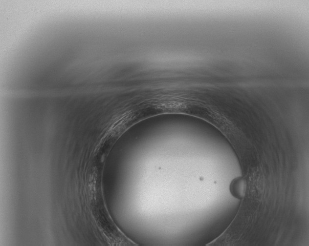 X0000059830739200510281757