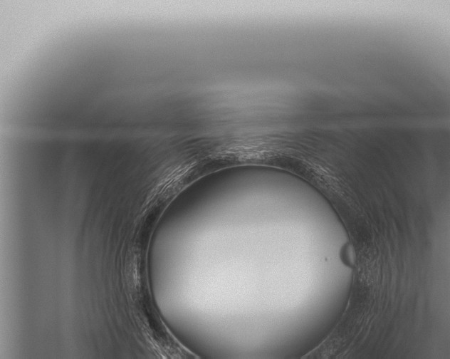 X0000059830740200510281757