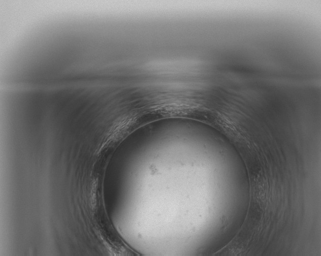 X0000059830742200510281757