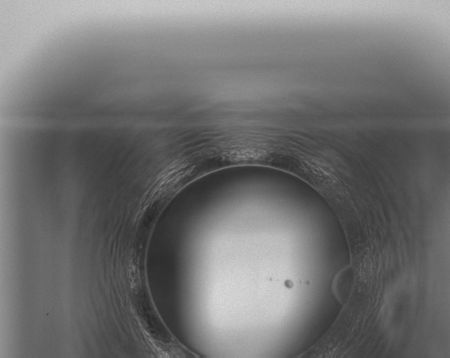 X0000059830743200510281757