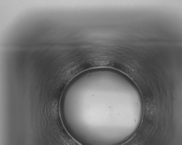 X0000059830745200510281757