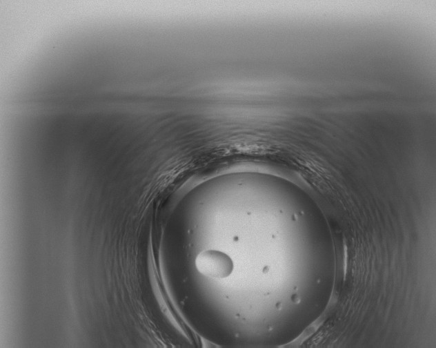 X0000059830748200510281757