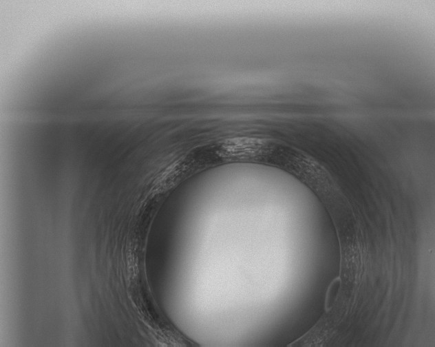 X0000059830751200510281757