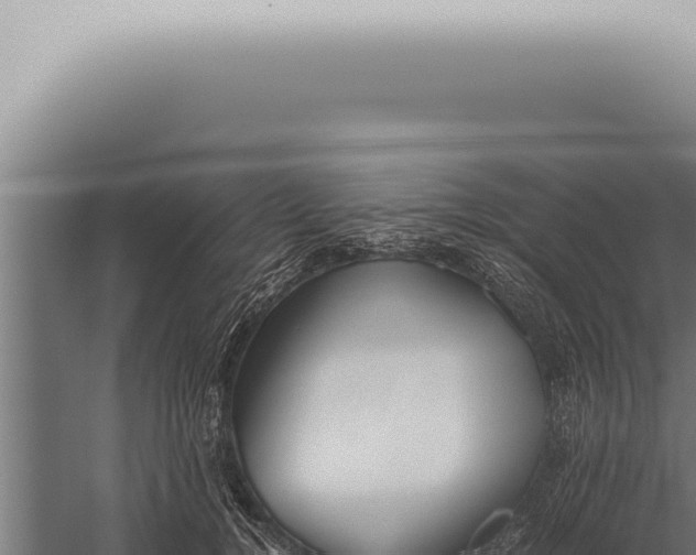 X0000059830752200510281757