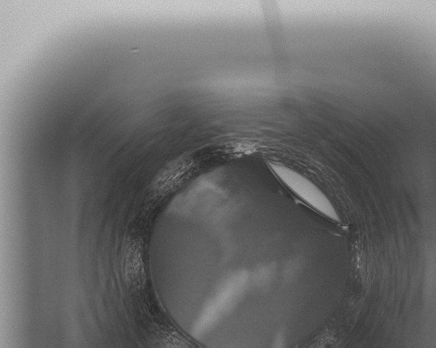 X0000059830754200510281757