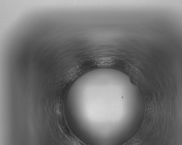 X0000059830755200510281757