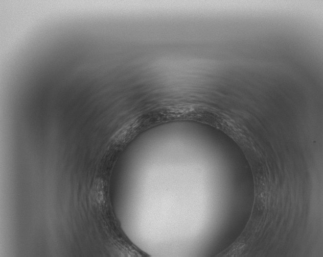 X0000059830758200510281757