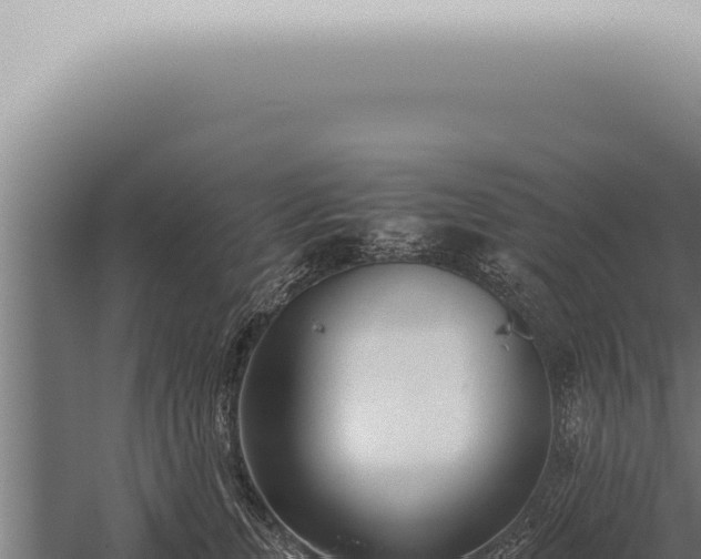 X0000059830759200510281757