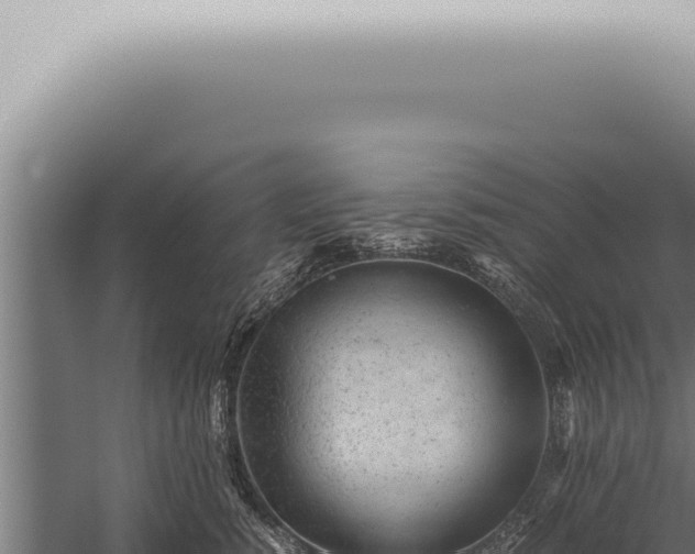 X0000059830760200510281757