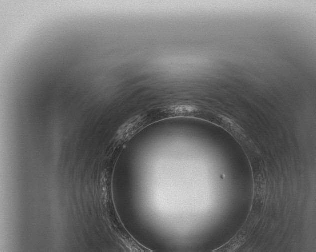 X0000059830762200510281757