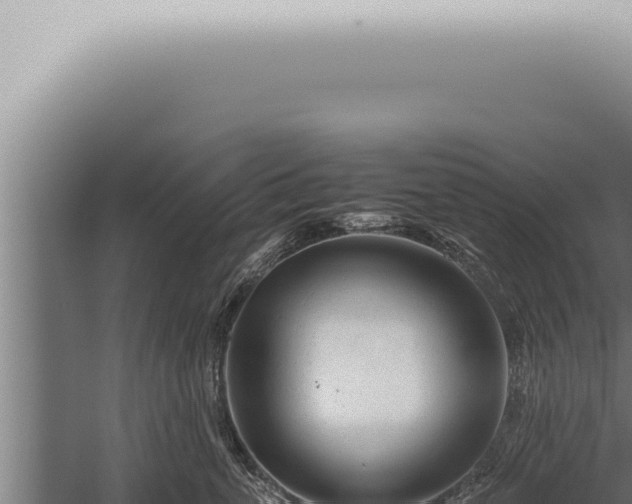 X0000059830763200510281757