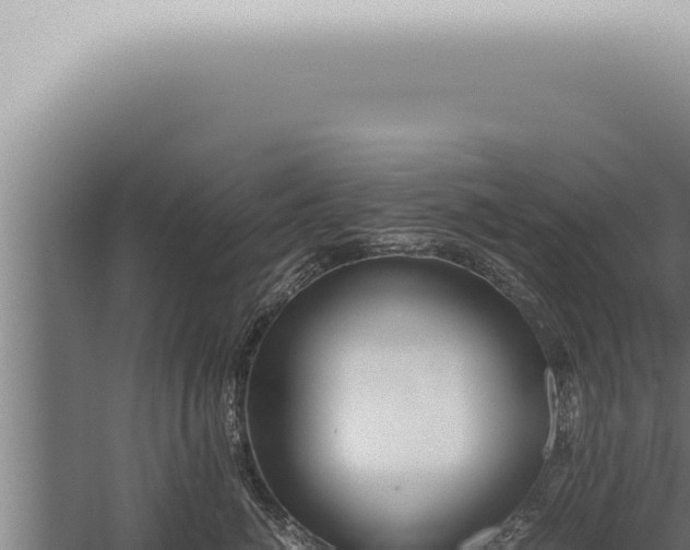 X0000059830764200510281757