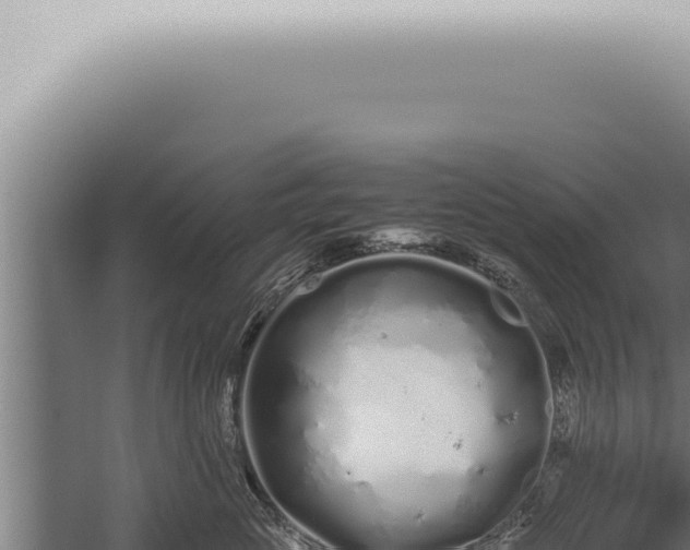 X0000059830765200510281757