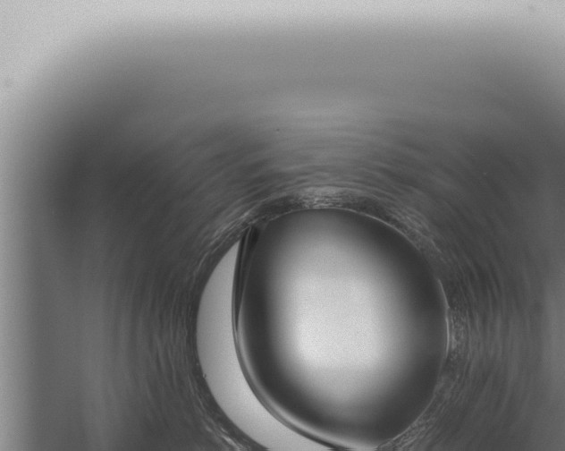 X0000059830766200510281757