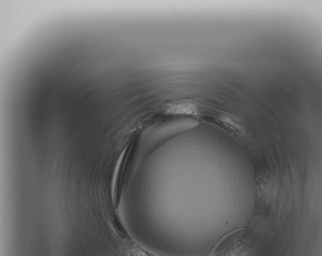 X0000059830767200510281757