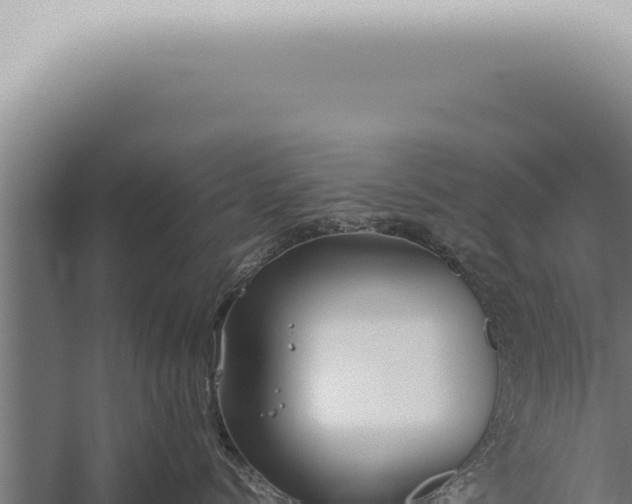 X0000059830768200510281757