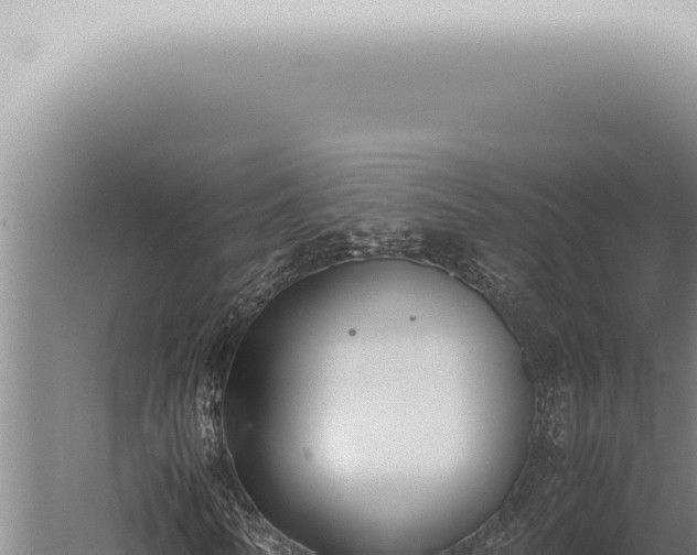 X0000059830770200510281757