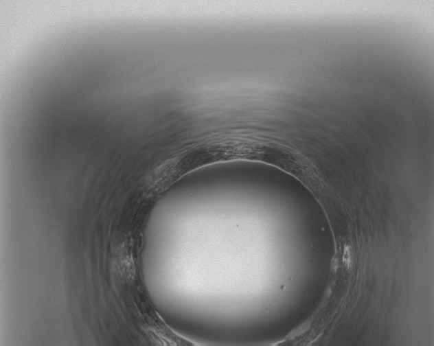 X0000059830771200510281757