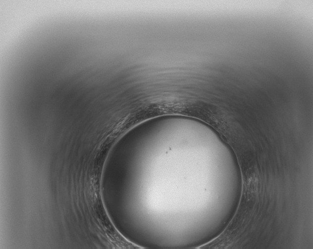 X0000059830772200510281757